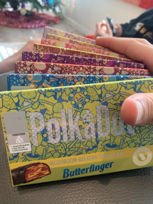Polkadot-pack-510x680-1